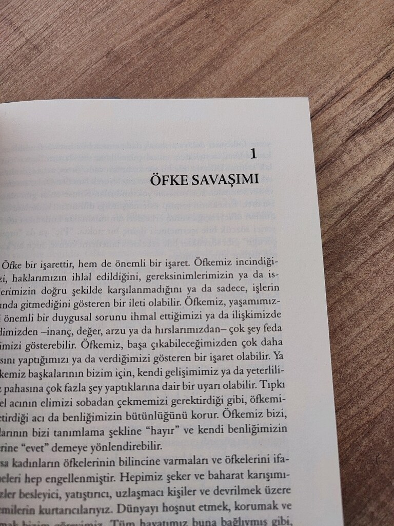 ÖFKE DANSI - 4