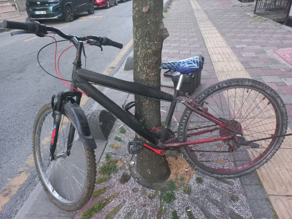 26 cant bisiklet - 5
