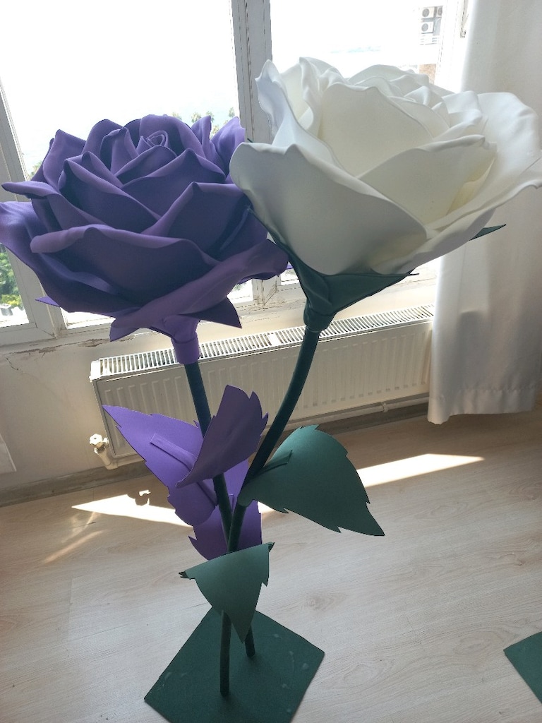 eva büyük cicek - 5