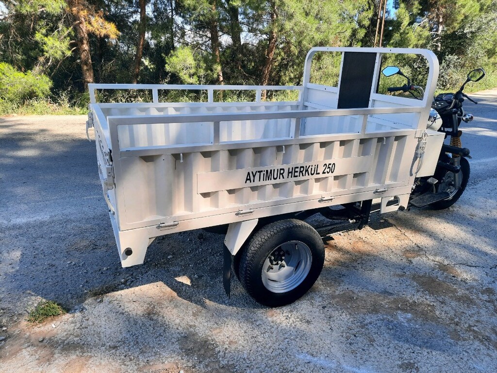 üç tekerlekli kasalı motorsiklet - 4
