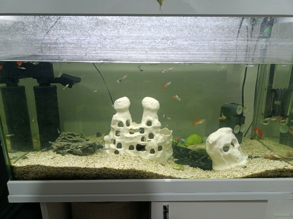 SATILIK AKVARYUM 150 LİTRE
