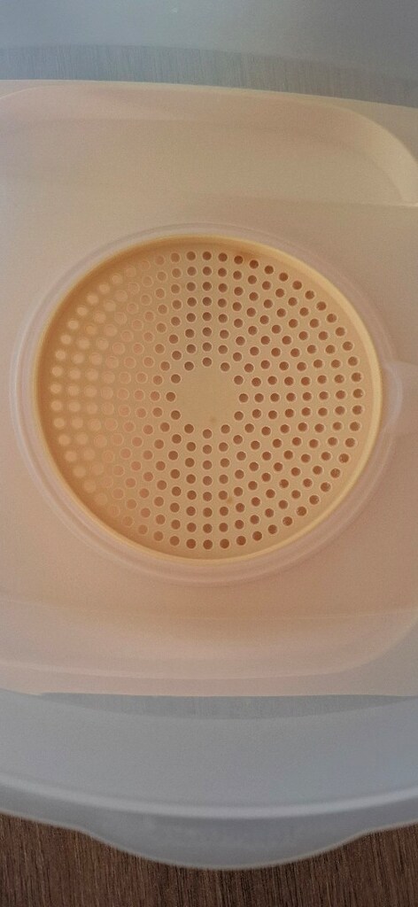 Tupperware peynir saklama kabı - 4