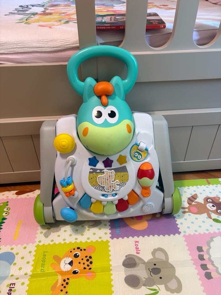 Fisher Price Eğitici Yürüme Arkadaşı