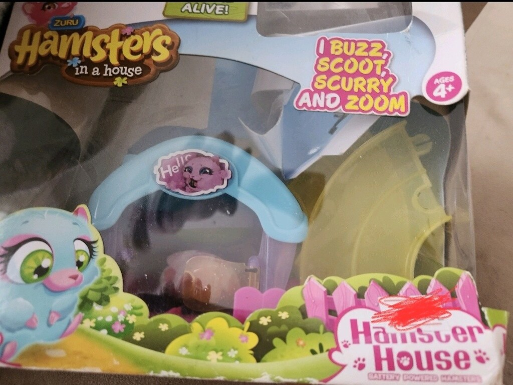 raylarda yürüyen hemster hamster in house - 3
