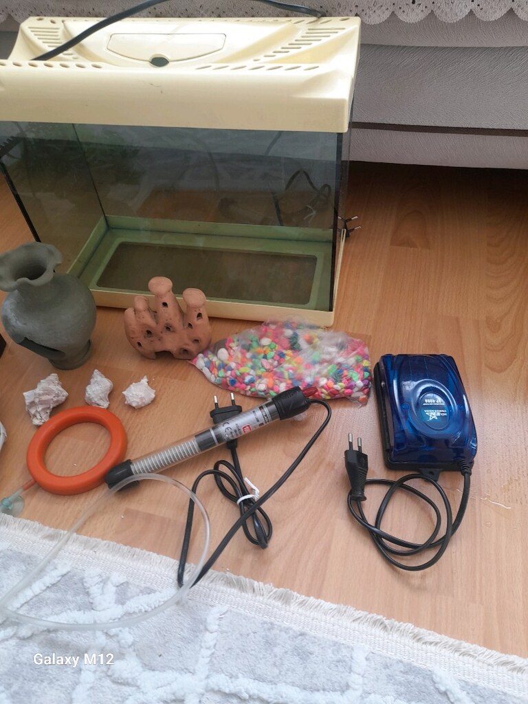 küçük akvaryum - 2