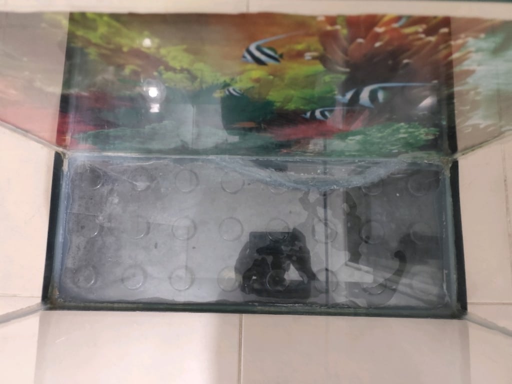 65 cm akvaryum - 2