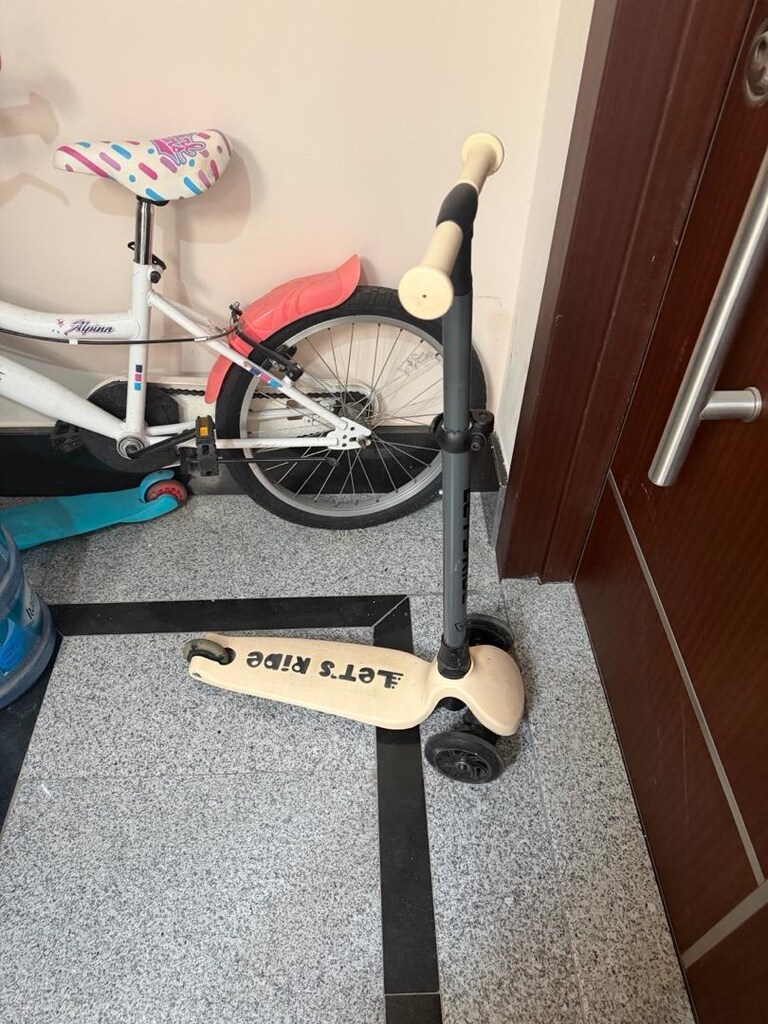 Scoter - 4