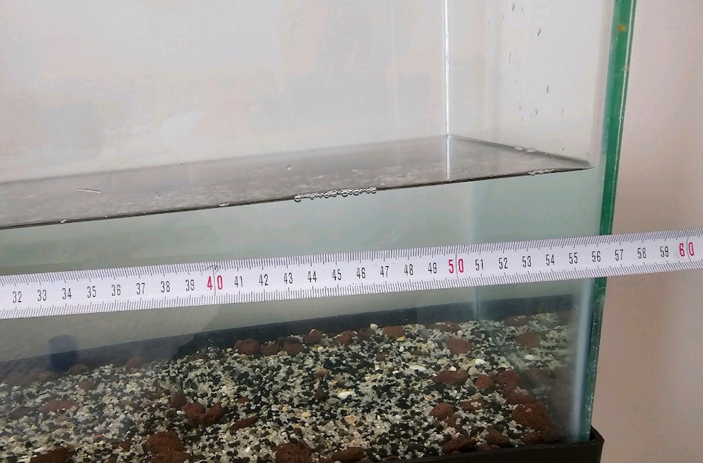 56×36×23 akvaryum - 3