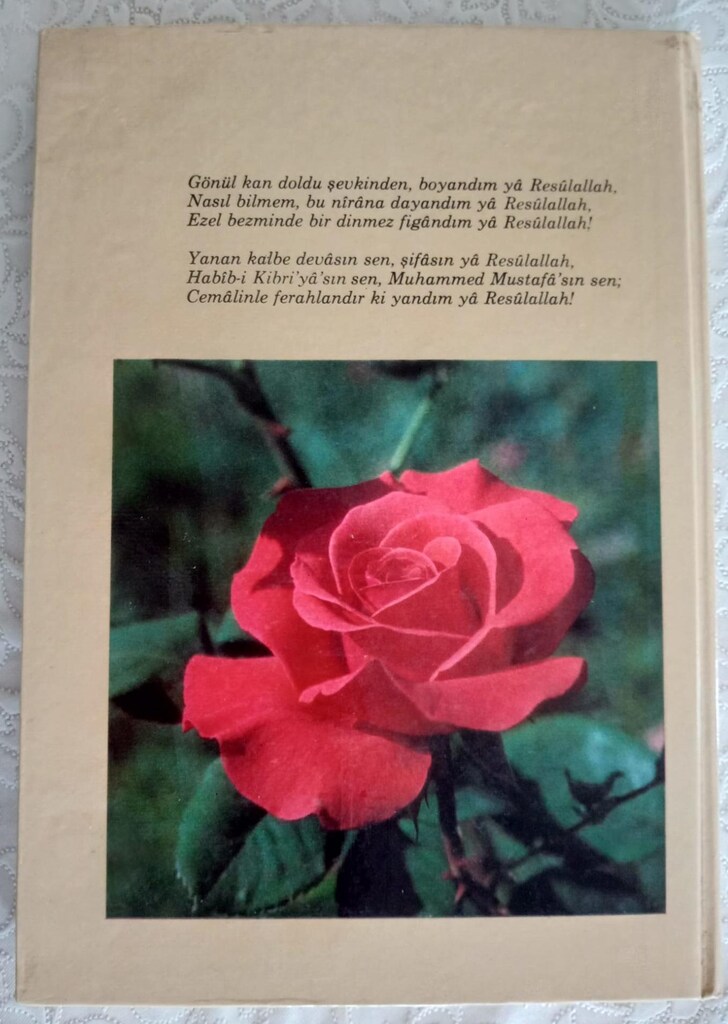 PEYGAMBERLER TARİHİ ANSİKLOPEDİSİ - 4