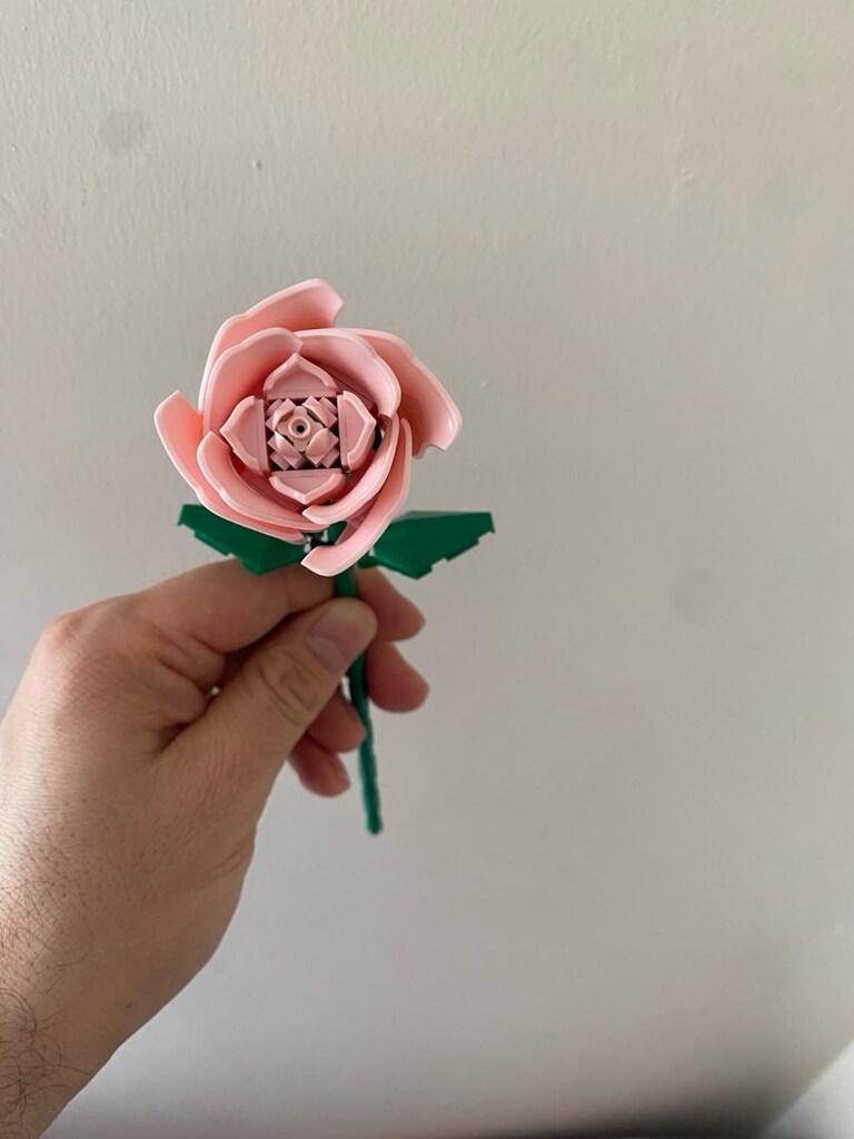 lwgo pembe gül - 7