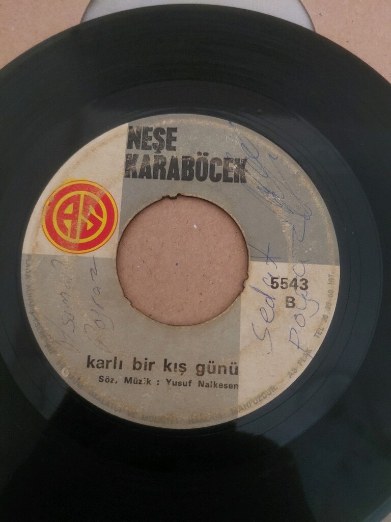 Neşe karaböcek 45'lik dönem plak lar - 9