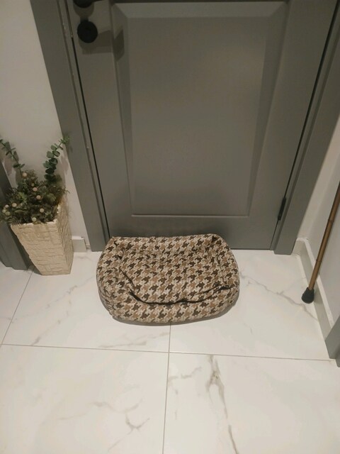 küçük ırk köpek kedi yatağı sıfır hiç kullanılmadı