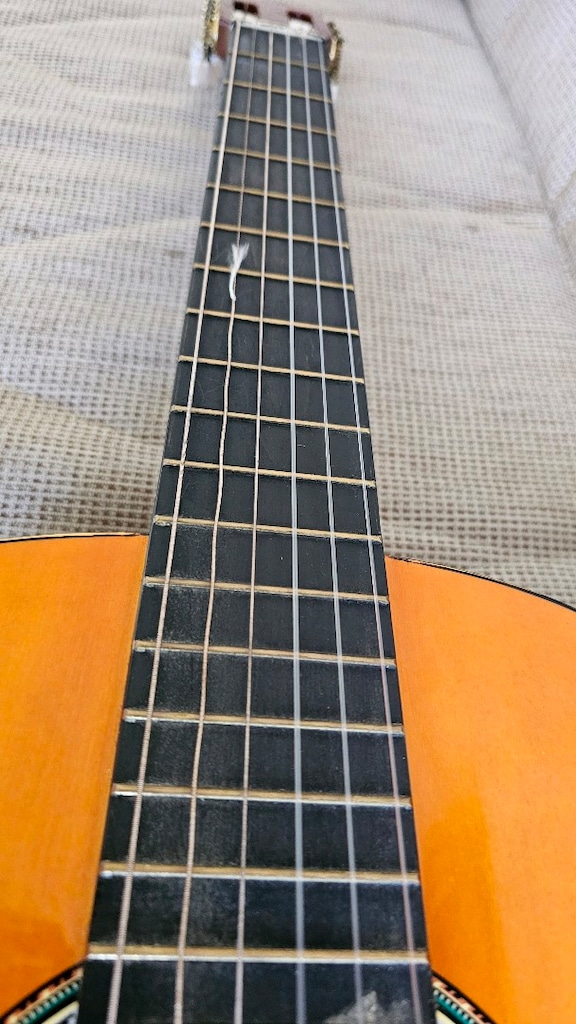 ÇANTASIYLA ALMİRA GİTAR ACİL SATILIK - 3