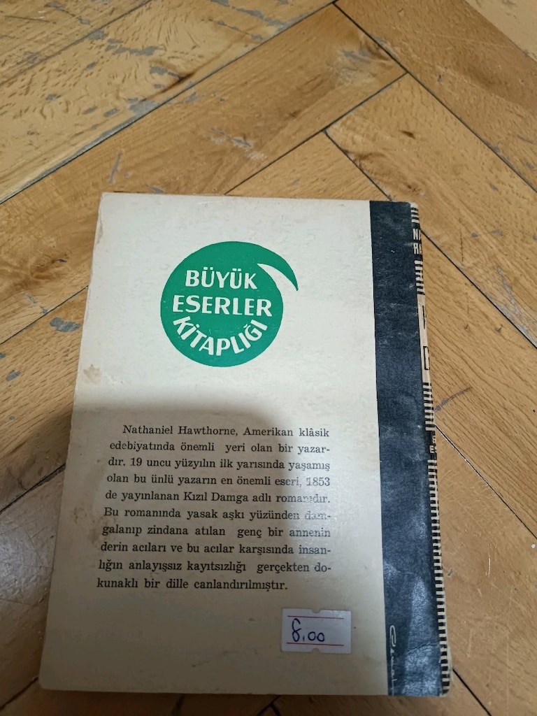 Kızıl Damga- Nathaniel Hawthorne - 2