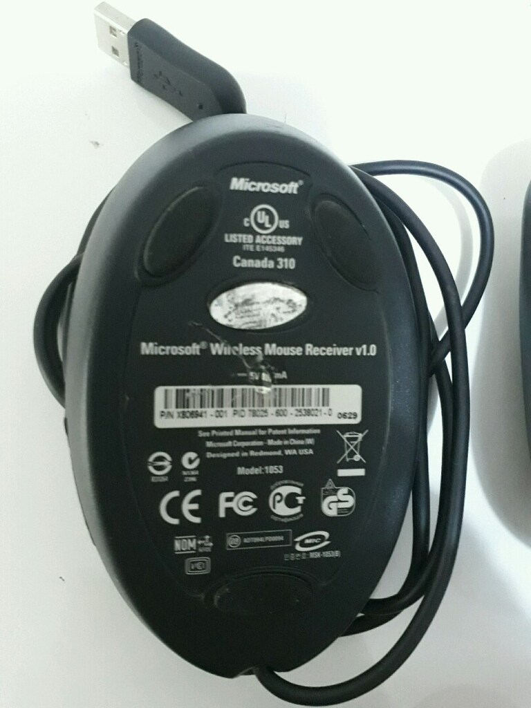 mouse - 5