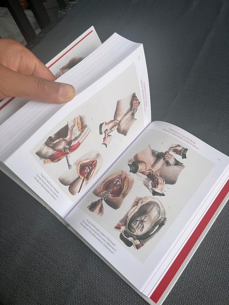 Human Anatomy İngilizce Anatomi Kitap - 6