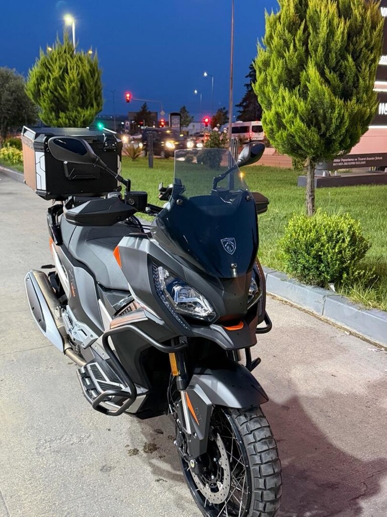 Tertemiz Cadde Boğası Satılık - 4