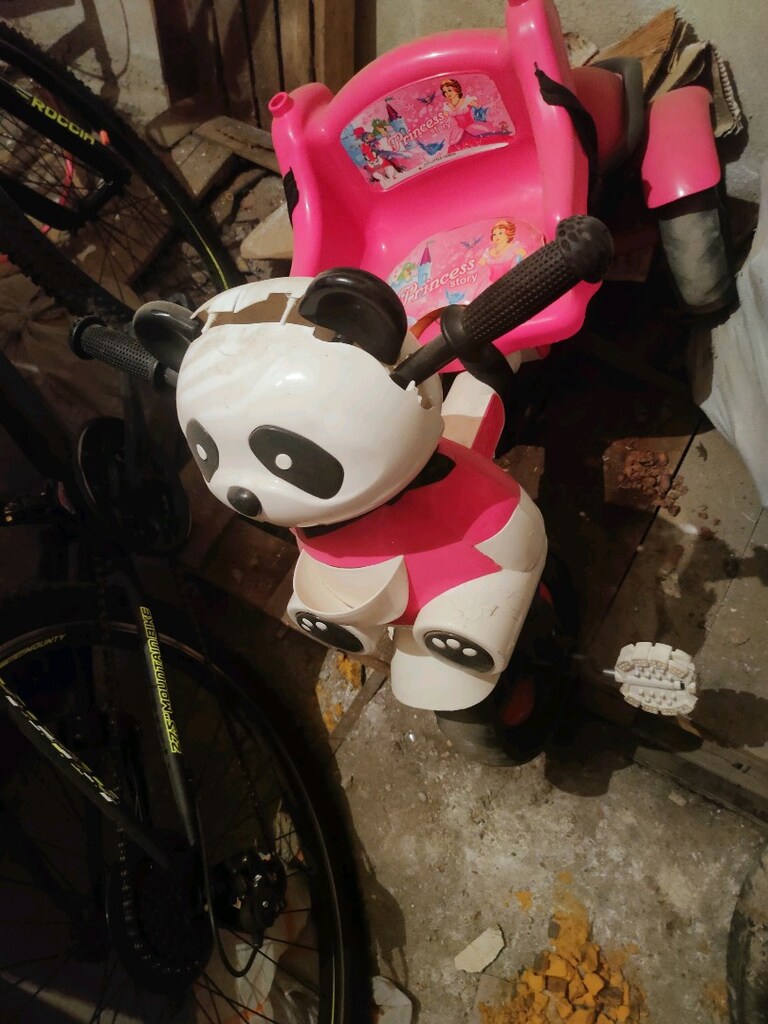panda bisiklet sapı yok sadece - 2