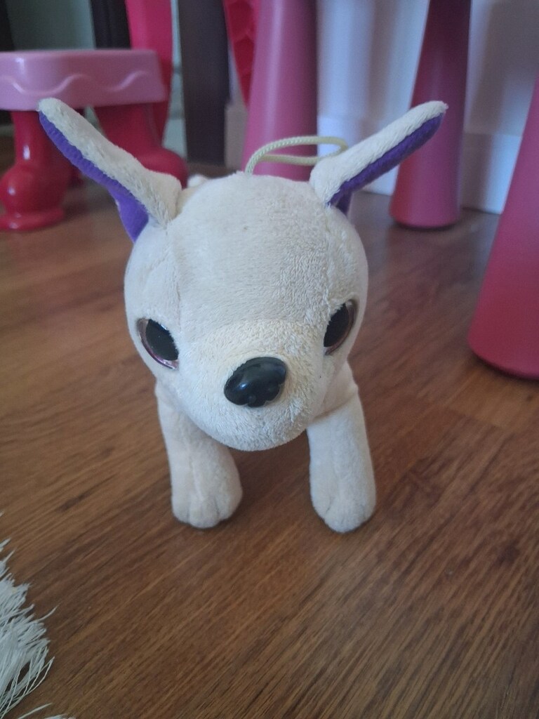 pelus köpek - 5