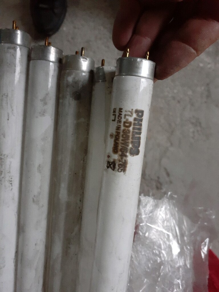 12 adet 60cm lik flörasan lamba. - 5