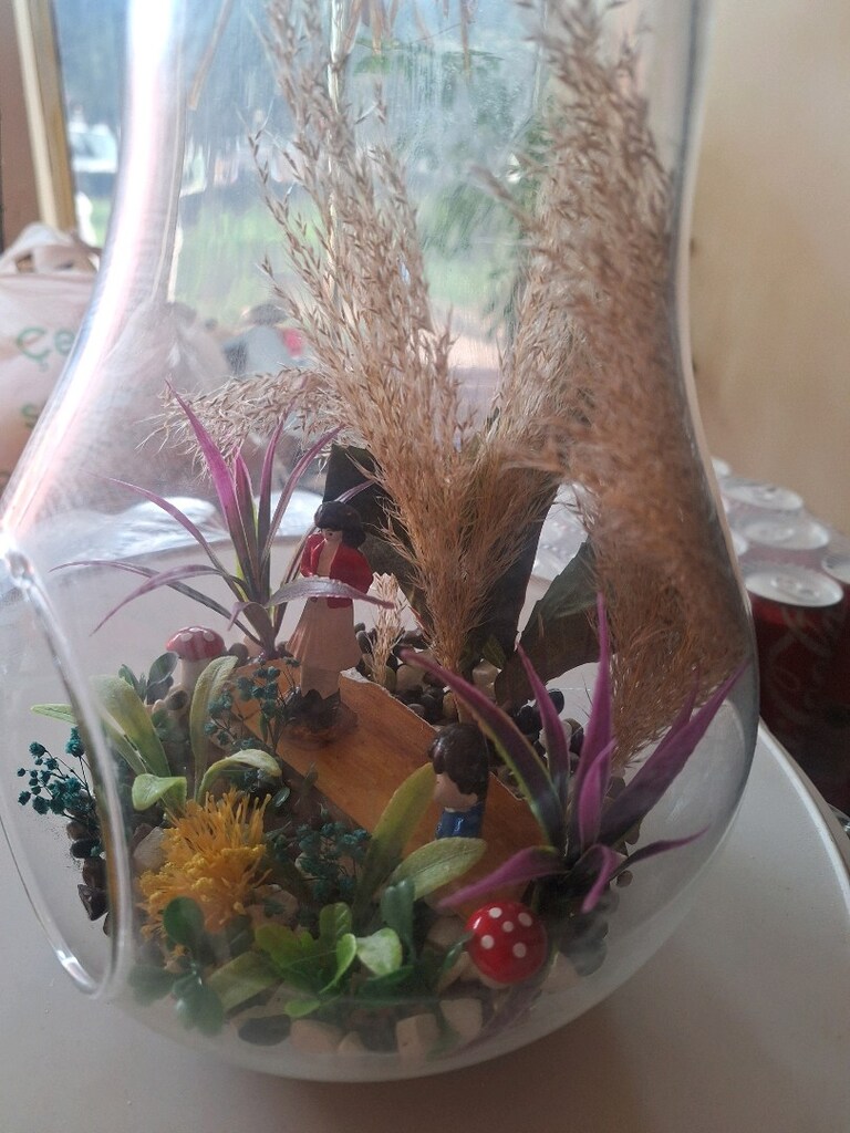 armut terrerium.Görseldeki üründür. - 3