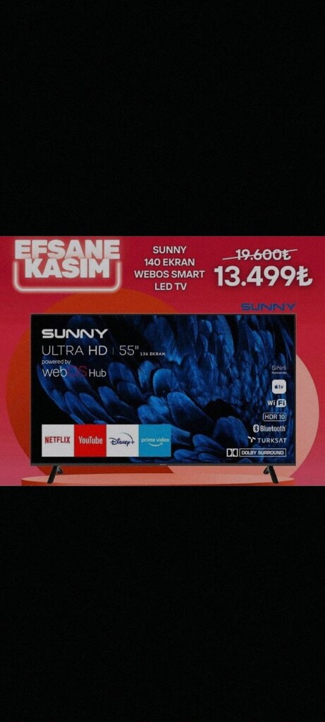 SUNNY 55 İNÇ 140 EKRAN - 2