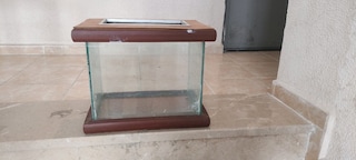 35 cm Akvaryum Temiz Sıkıntısız - 4