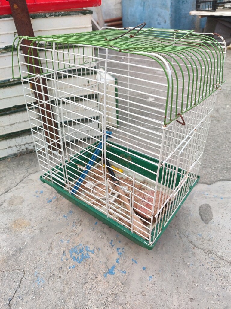 muhabbet kuşu kafesi - 2