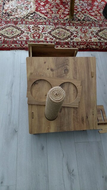 kedi evi
