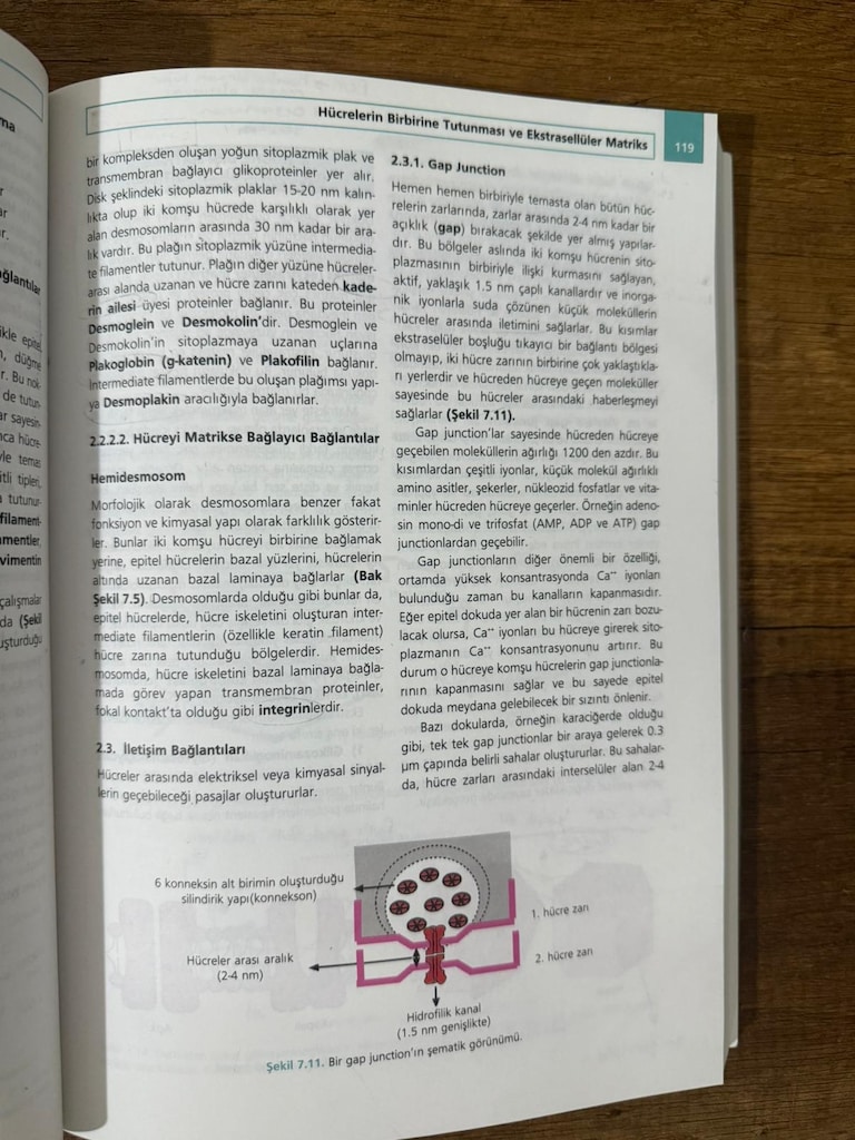 Moleküler Hücre Biyolojisi - Hasan Veysi GÜNEŞ - 3