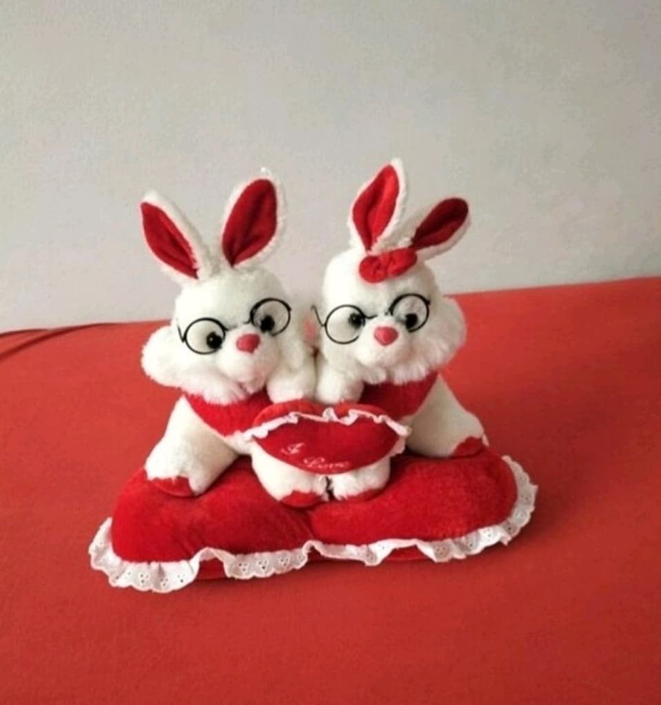 ikili gözlüklü süs tavşan - 2