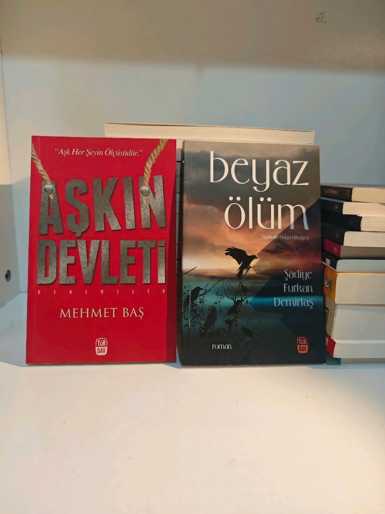 25 adetlik karışık kitap lotu. - 9