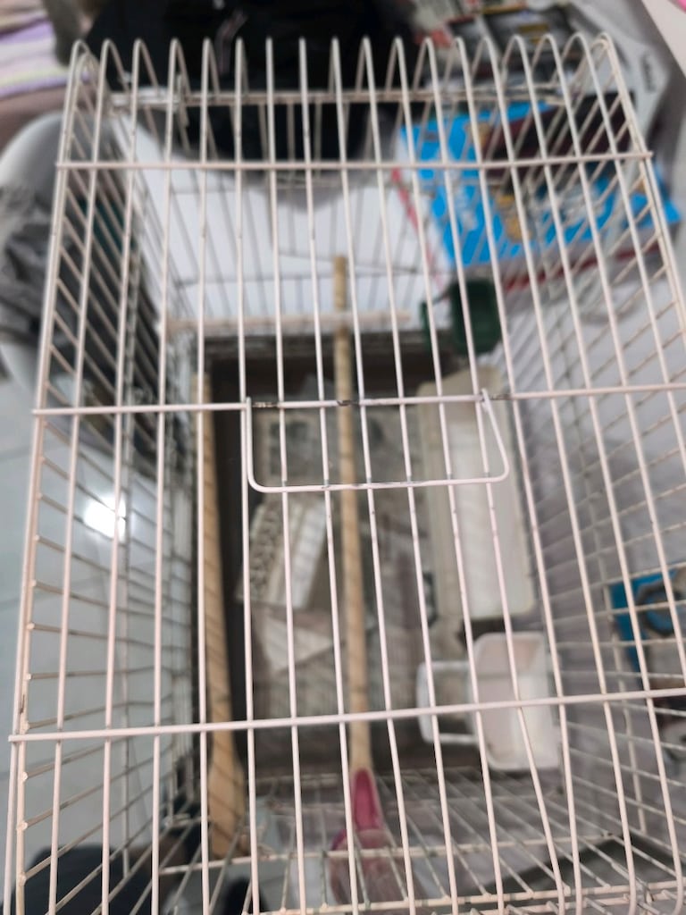SATILIK 3 KAPILI FULL DOLU KUŞ KAFESİ - 5
