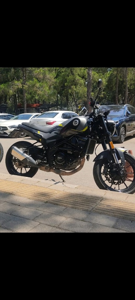 145000 lioncino - 2