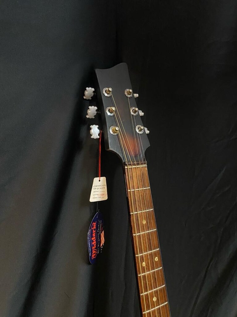 EKO Jazz Archtop 100 Elektro Akustik Gitar - 5