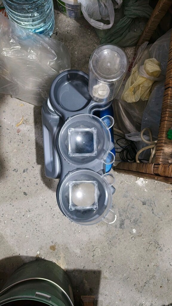 kedi mama ve su kabı - 3