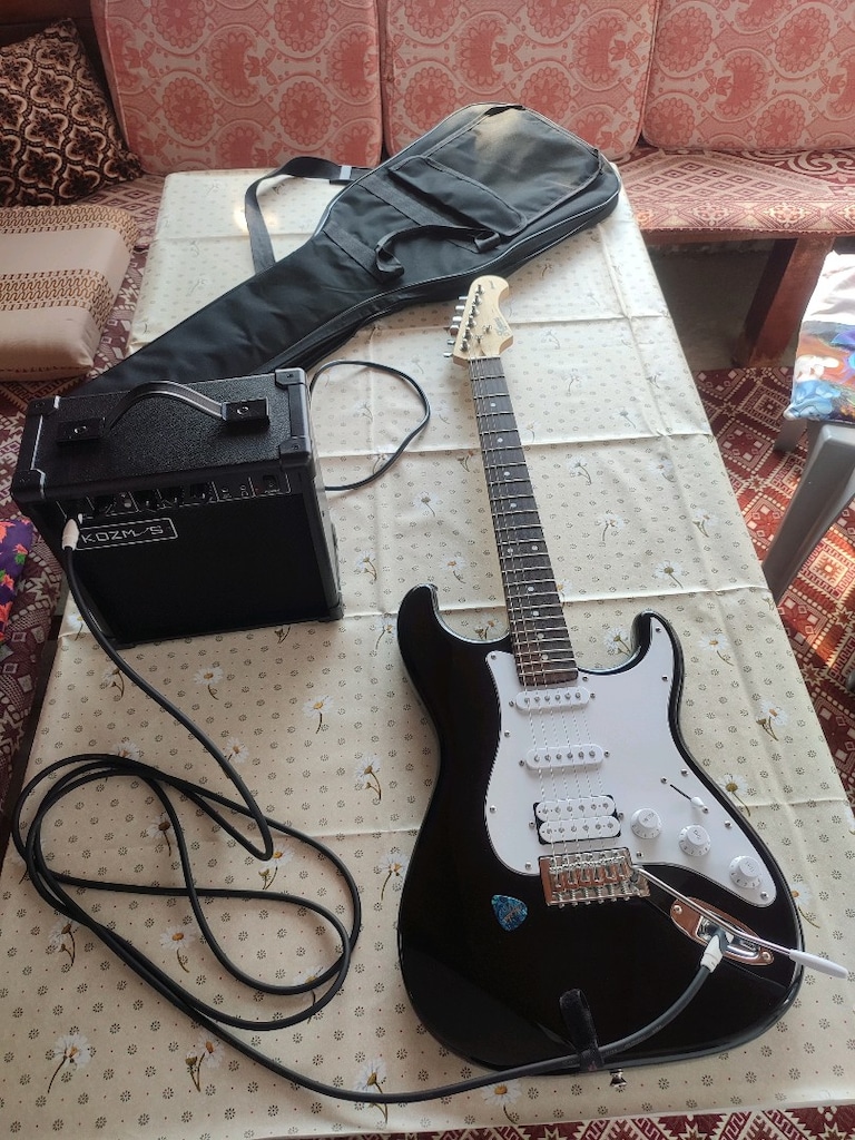 Elektro Gitar