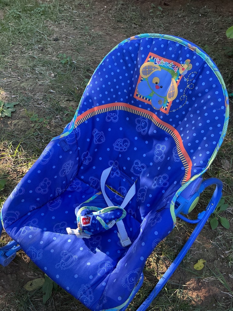 Fisher Price Ana Kucağı - 3
