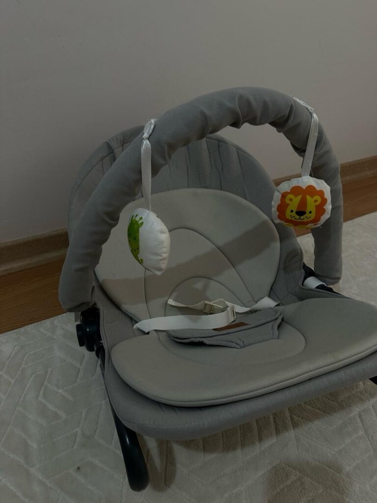 Temiz Kullanılmış Ana Kucağı / Sallanır Bebek Koltuğu - 2