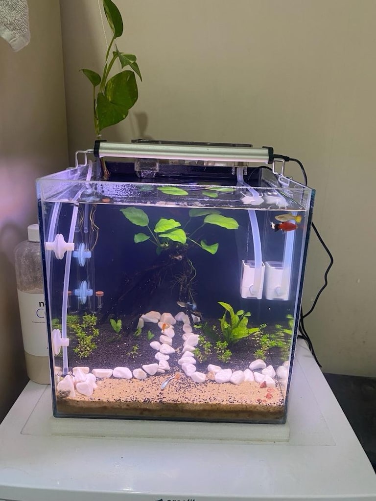 SATILIK KURULU DÜZEN 30x30 AKVARYUM