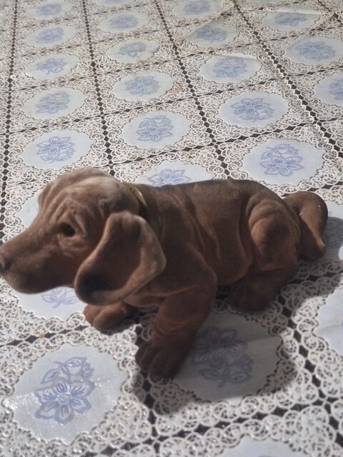 ölçüsü fotoda mevcuttur