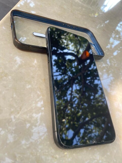 iPHONE 15 PRO MAX 256 gb