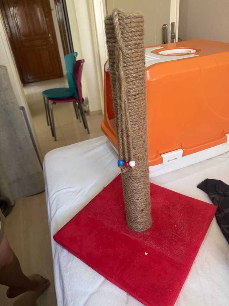 kedi evi kum kabı - 4