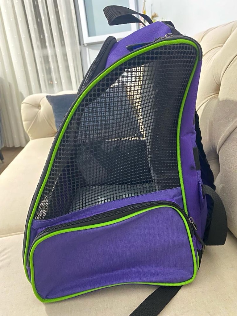 Kedi/köpek taşıma sırt çantası - 2