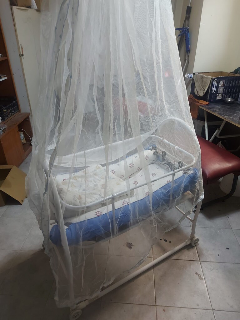 BEBEK BEŞŞİĞİ - 6