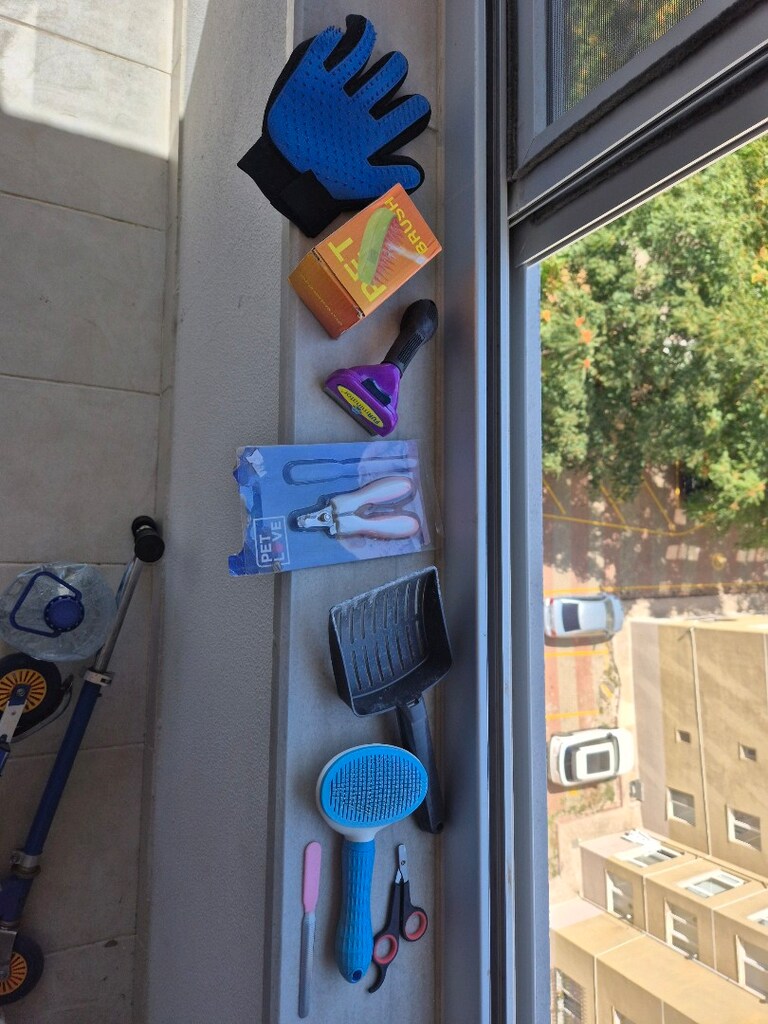 kedi için tam set - 8