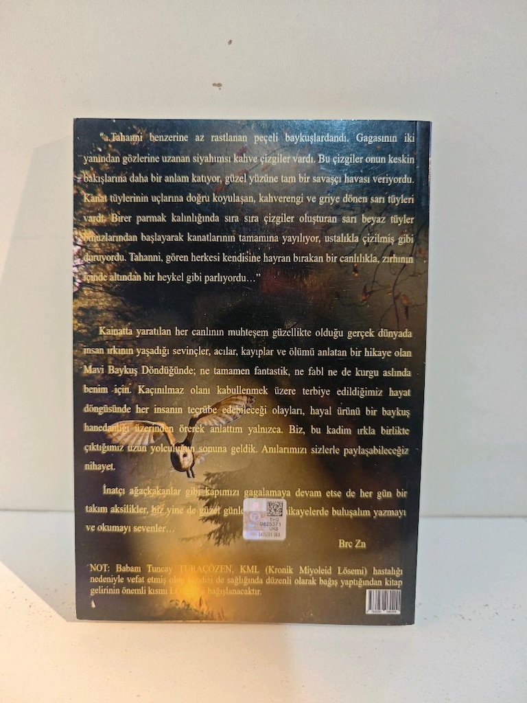 mavi baykuş döndüğünde... Burcu Özen - 4