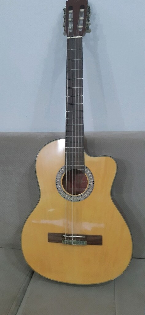gitar elektro - 2