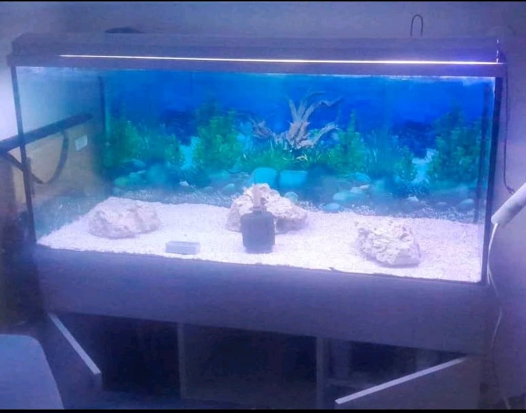 akvaryum 130*50*60 ölçülerinde ful artı ful tüm aksesuarları ile - 4