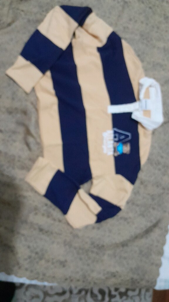 Bershka Orijinal Ayı Logolu Crop Polo Bluz / Tişört